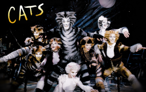 Cats musical image